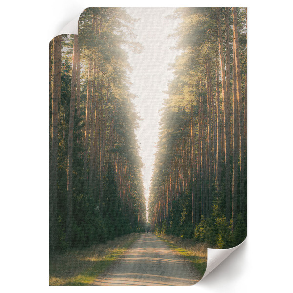 Dekoracyjny plakat ścienny Leśna droga