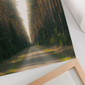 Dekoracyjny plakat ścienny Leśna droga