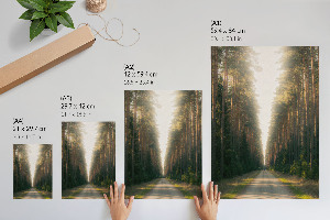 Dekoracyjny plakat ścienny Leśna droga