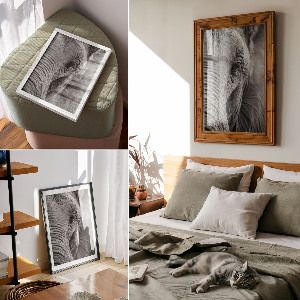 Grafika na ścianę Spojrzenie słonia