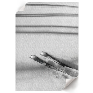 Dekoracyjny plakat ścienny Narty na śniegu