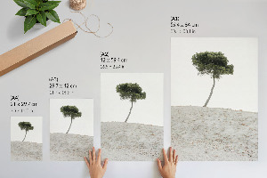 Grafika na ścianę Samotne drzewo