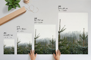 Wydruk na płótnie Zielone iglaki