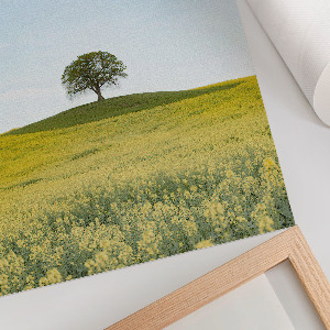 Plakat premium Samotne drzewo