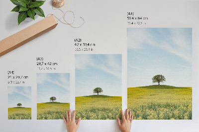 Plakat premium Samotne drzewo