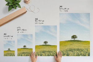 Plakat premium Samotne drzewo