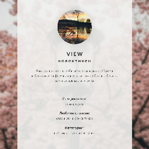 Dekoracyjny plakat ścienny Wiosenna latarnia