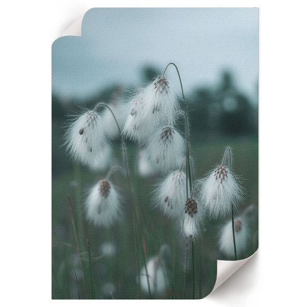 Grafika na ścianę Kłosy traw