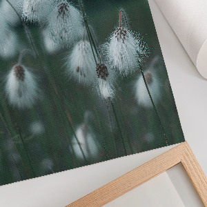 Grafika na ścianę Kłosy traw