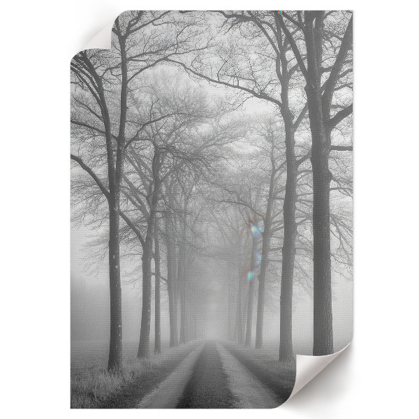 Plakat premium Mgła na drodze