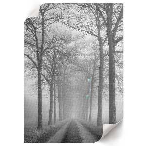 Plakat premium Mgła na drodze