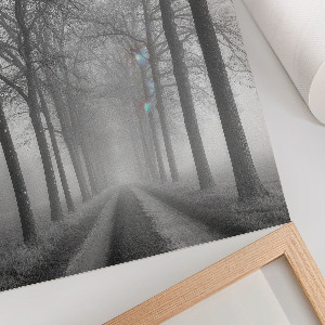 Plakat premium Mgła na drodze