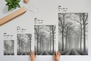 Plakat premium Mgła na drodze