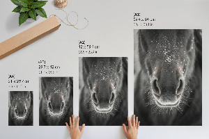 Plakat premium Koń i śnieg