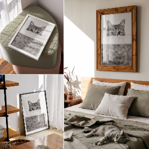 Grafika na ścianę Koci portret