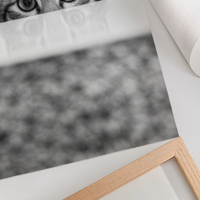 Grafika na ścianę Koci portret