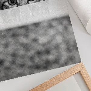 Grafika na ścianę Koci portret