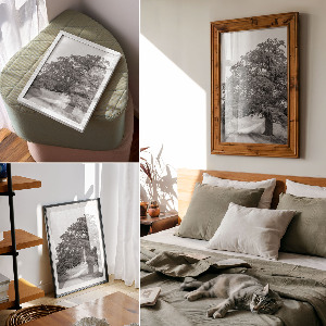 Dekoracyjny plakat ścienny Monumentalne drzewo