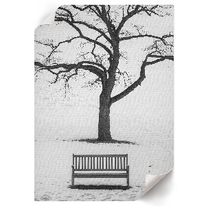 Dekoracyjny plakat ścienny Zimowy spokój