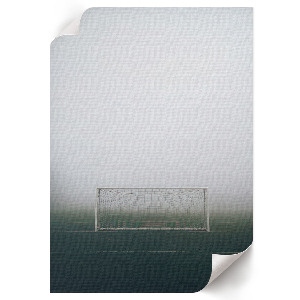 Wydruk na płótnie Bramka na boisku