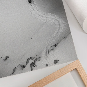 Plakat premium Jazda narciarza