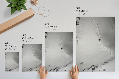 Plakat premium Jazda narciarza