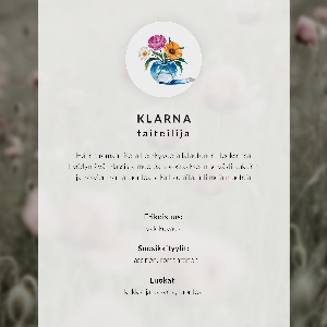 Wydruk na płótnie Delikatne maki