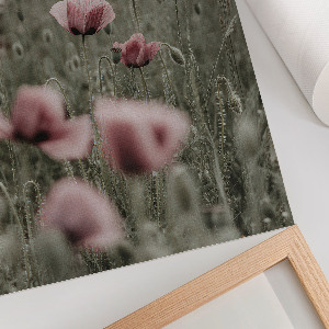 Wydruk na płótnie Delikatne maki