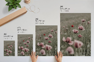 Wydruk na płótnie Delikatne maki