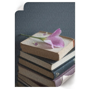 Plakat premium Kwiat i książki