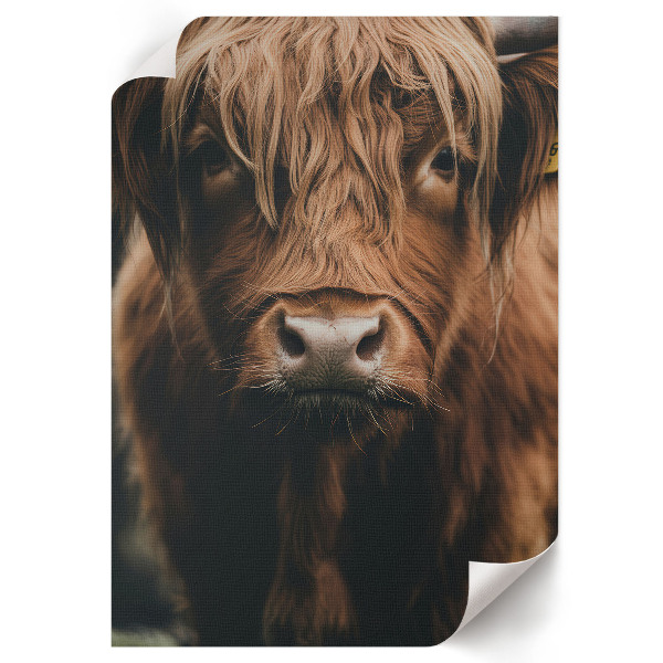 Wydruk na płótnie Portret zwierzęcia