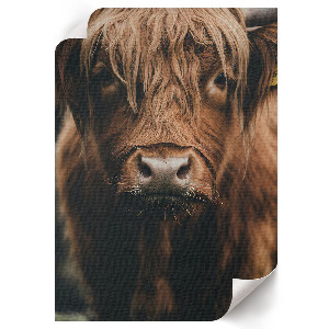 Wydruk na płótnie Portret zwierzęcia