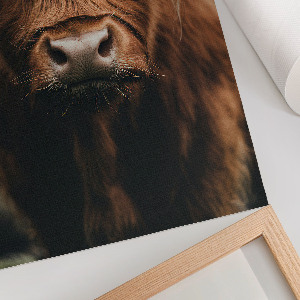 Wydruk na płótnie Portret zwierzęcia