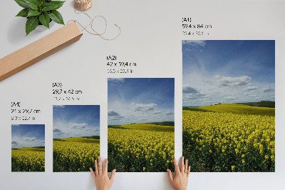 Plakat premium Pola rzepaku