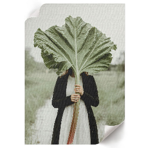 Plakat premium Rabarbarowa tajemnica