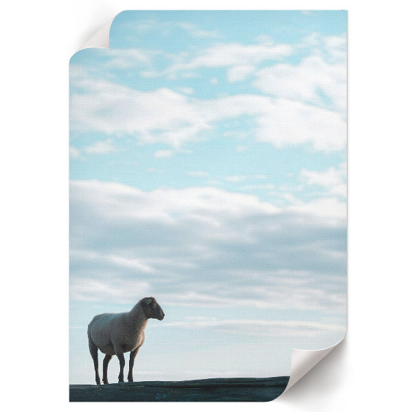 Dekoracyjny plakat ścienny Sielankowy widok