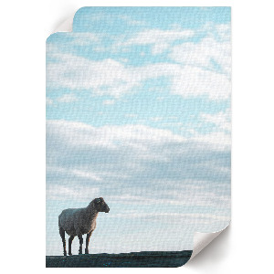 Dekoracyjny plakat ścienny Sielankowy widok