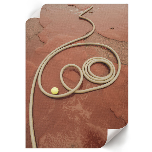 Dekoracyjny plakat ścienny Lina na ziemi