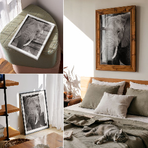 Wydruk na płótnie Słoniowy portret