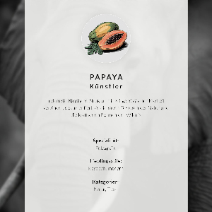 Wydruk na płótnie Słoniowy portret