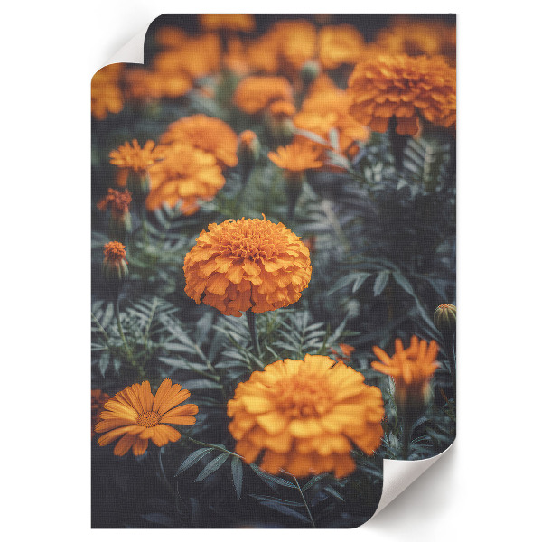 Plakat premium Letni ogród