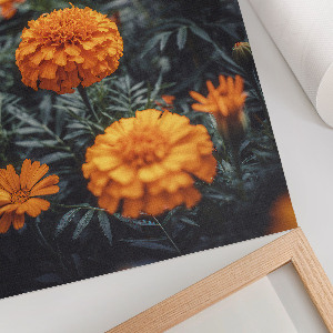 Plakat premium Letni ogród