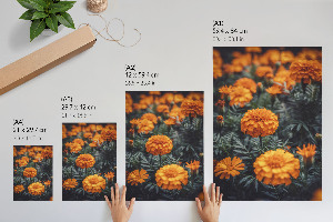 Plakat premium Letni ogród