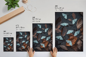 Grafika na ścianę Białe ćmy