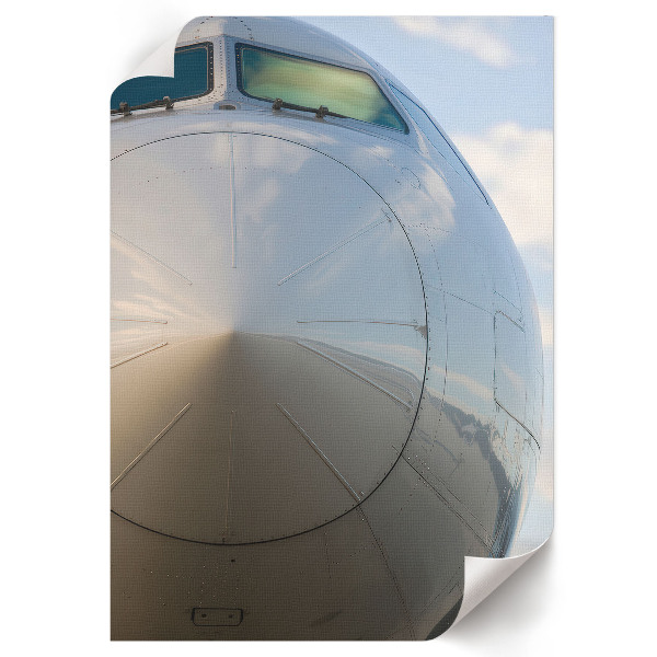 Wydruk na płótnie Dziób samolotu