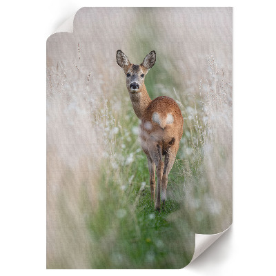 Grafika na ścianę Sarna natura