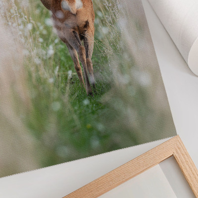 Grafika na ścianę Sarna natura