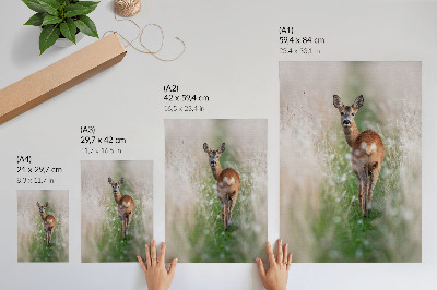Grafika na ścianę Sarna natura