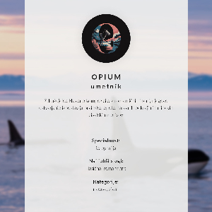 Dekoracyjny plakat ścienny Różowa hortensja