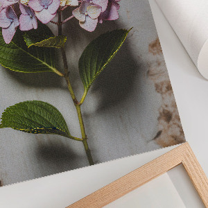 Dekoracyjny plakat ścienny Różowa hortensja